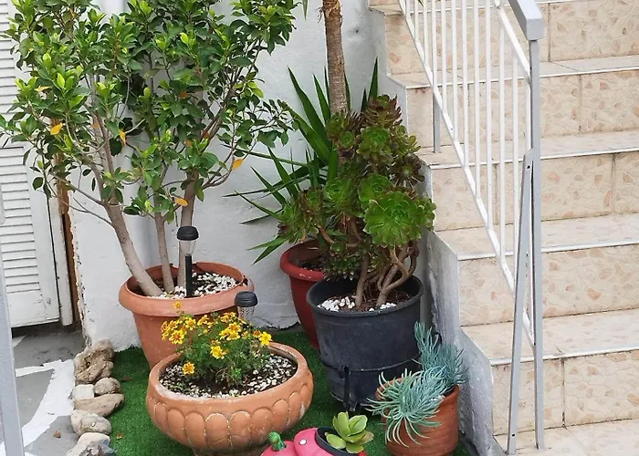 My View Appartamento *